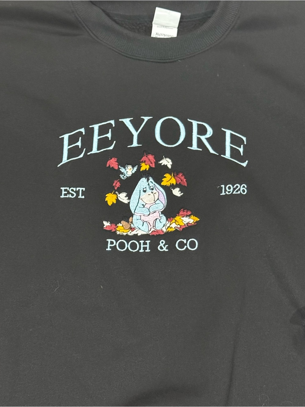 Disney Winnie the Pooh Embroidered Eeyore Sweatshirt